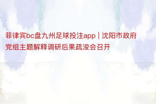 菲律宾bc盘九州足球投注app | 沈阳市政府党组主题解释调研后果疏浚会召开