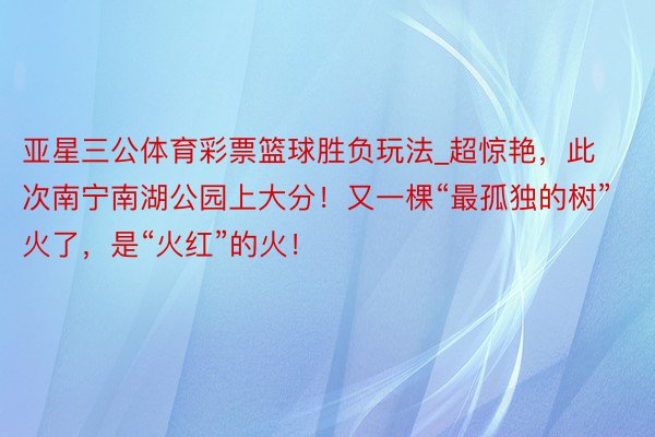 亚星三公体育彩票篮球胜负玩法_超惊艳，此次南宁南湖公园上大分！又一棵“最孤独的树”火了，是“火红”的火！