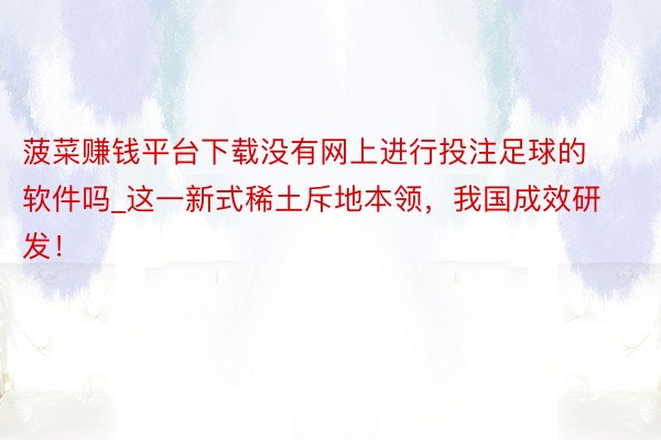 菠菜赚钱平台下载没有网上进行投注足球的软件吗_这一新式稀土斥地本领，我国成效研发！